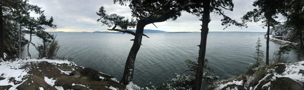 Bellingham Washington